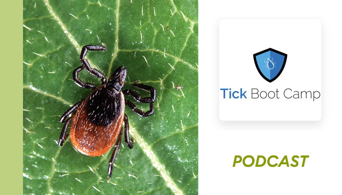 Tick Boot Camp – Full Spectrum Healing